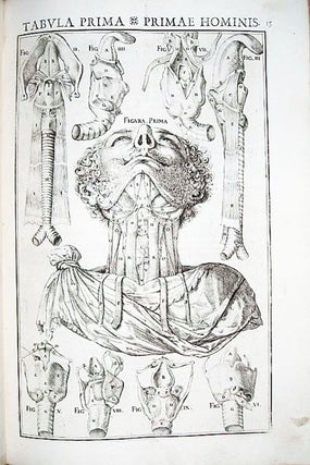 Item #10446 De vocis auditusq[ue] organis historia anatomica singulari. Giulio Cesare CASSERIUS