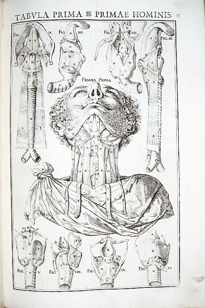 Item #10446 De vocis auditusq[ue] organis historia anatomica singulari. Giulio Cesare CASSERIUS.