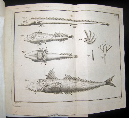 Item #10453 Histoire de poissons contenant la déscription anatomique de leurs parties externes et internes, & le caractere des divers genres rangés pas classe et par ordres. Antoine GOUAN.