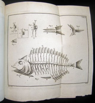 Histoire de poissons contenant la déscription anatomique de leurs parties externes et internes, & le caractere des divers genres rangés pas classe et par ordres.