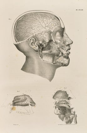 Item #1189 Anatomie de l'homme. J. G. CLOQUET
