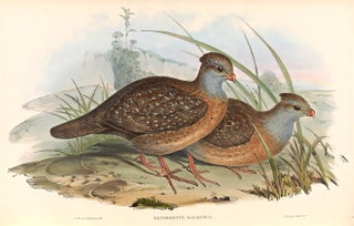 Item #13940 A monograph of the odontophorinae, or partridges of America. John GOULD