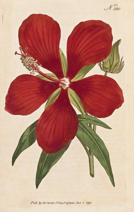 Item #14092 The Botanical Magazine; or, Flower-Garden Displayed in which the most ornamental...