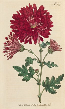 The Botanical Magazine; or, Flower-Garden Displayed in which the most ornamental foreign plants, cultivated in the open ground, the green-house, and the stove, are accurately represented in their natural colours. To which are added, their names, class, order, generic and specific characters, according to the celebrated Linneaus, their places of growth and times of flowering. Together with the most approved methods of culture. . . .
