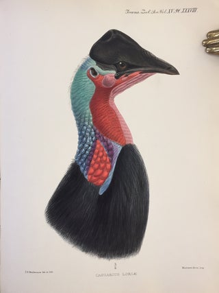 &ldquo;A monograph of the genus Casuarius.&rdquo; (with) &ldquo;A dissertation on the morphology and phylogeny of the Palaeognathae (Ratitae and Crypturi) and Neognathae (Carinatae).&rdquo; From Transactions of the Zoological Society, Vol. XV, Part V., No. 1,