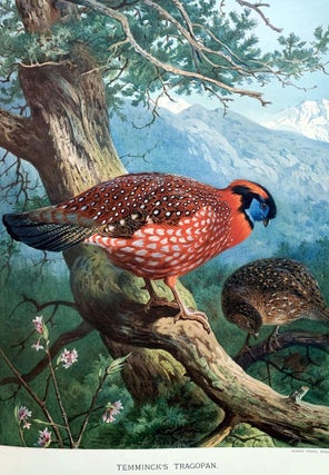 Item #16259 A monograph of the pheasants. William BEEBE