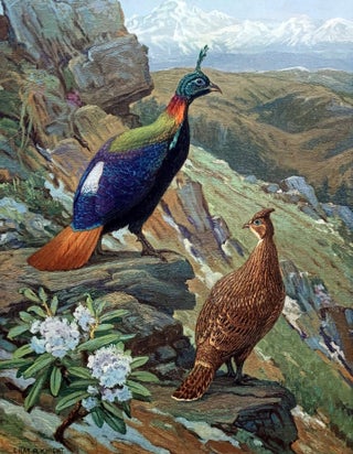 A monograph of the pheasants