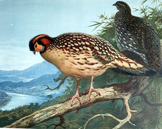 A monograph of the pheasants