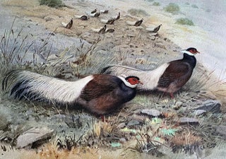 A monograph of the pheasants