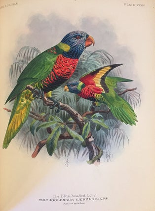 Item #16261 A monograph of the lories, or brush tongued parrots, composing the family loriidae....