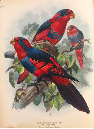 A monograph of the lories, or brush tongued parrots, composing the family loriidae.