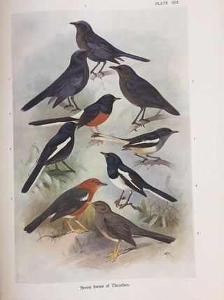 Item #16262 Birds of the island of Java. Nagamachi KURODA