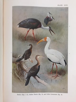 Birds of the island of Java