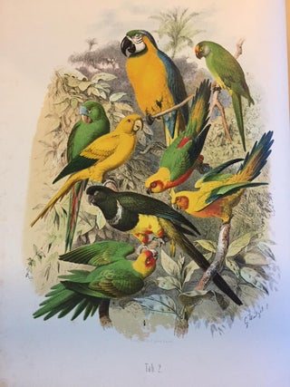 Vogelbilder aus fernen Zonen. Abbildungen und Beschreibungen der Papageien. Anton REICHENOW.