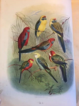 Vogelbilder aus fernen Zonen. Abbildungen und Beschreibungen der Papageien.