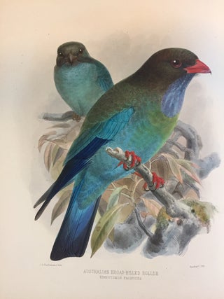 Item #16269 A monograph of the Coraciidae, or family of the Rollers. H. E. DRESSER