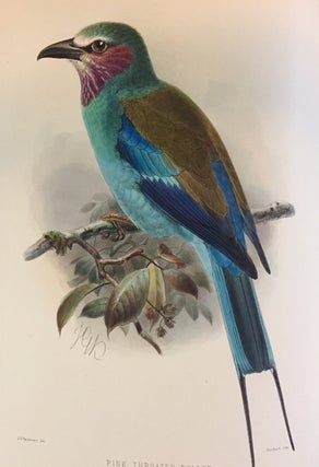 A monograph of the Coraciidae, or family of the Rollers