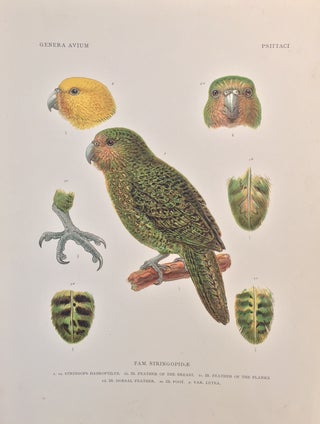 Genera Avium
