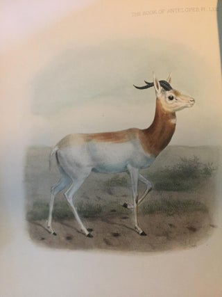 The book of antelopes