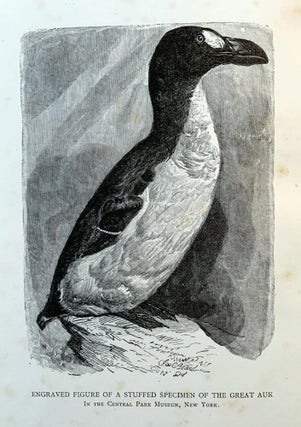 Item #16292 The great auk, or garefowl. Its history, archaeology, and remains. Symington GRIEVE