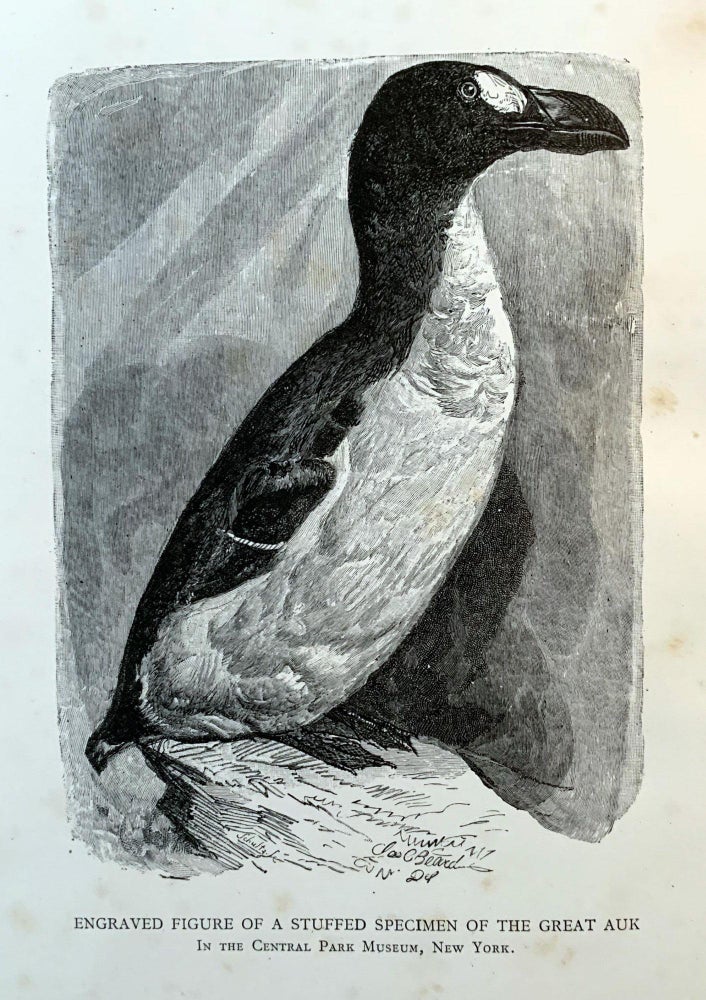 Item #16292 The great auk, or garefowl. Its history, archaeology, and remains. Symington GRIEVE.