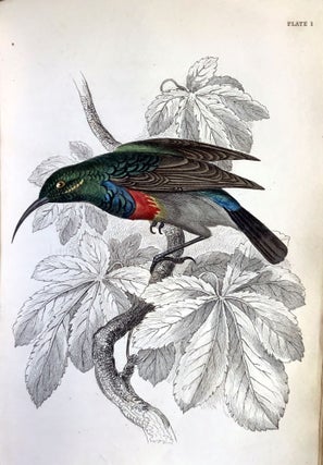 The natural history of the nectariniadae, or sun-birds.
