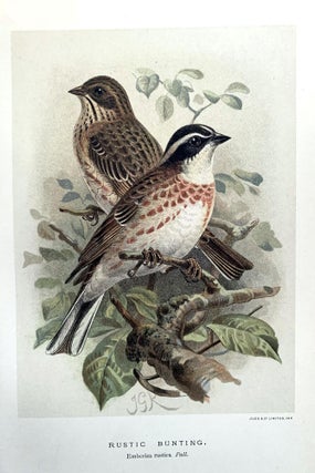 Coloured figures of the birds of the British Islands.