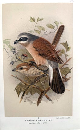 Coloured figures of the birds of the British Islands.