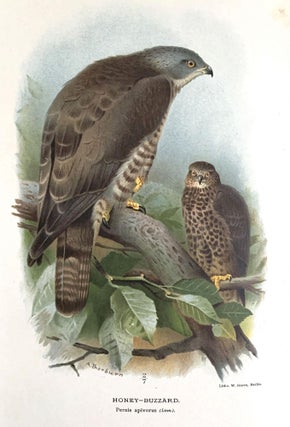 Coloured figures of the birds of the British Islands.