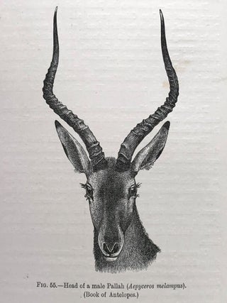 The mammals of South Africa. W. L SCLATER.