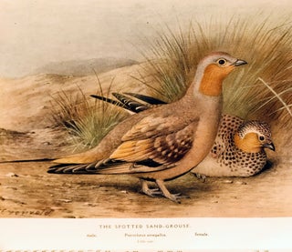 Item #16327 The game-birds of India, Burma and Ceylon. Ducks and their allies (swans, geese and...