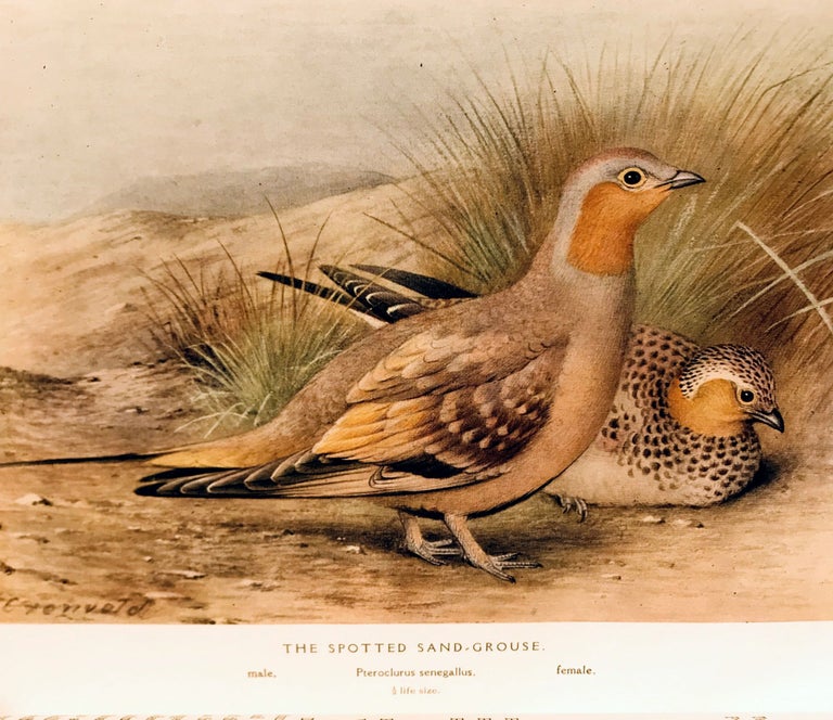 Item #16327 The game-birds of India, Burma and Ceylon. Ducks and their allies (swans, geese and ducks). Stuart BAKER.