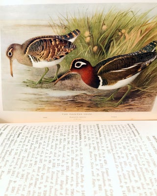 The game-birds of India, Burma and Ceylon. Ducks and their allies (swans, geese and ducks).