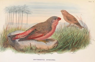 Item #16333 Handbook to the birds of Egypt. G. E. SHELLEY