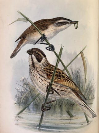 Handbook to the birds of Egypt.