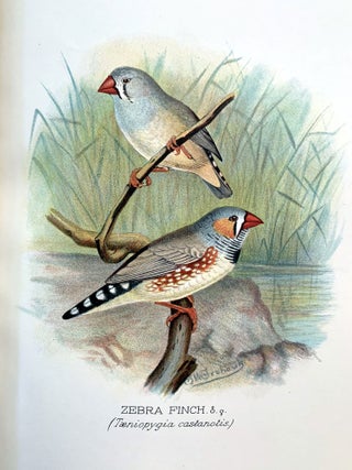 Item #16338 Foreign finches in captivity. Arthur G. BUTLER