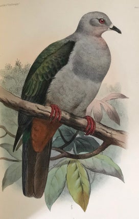 The voyage of the H.M.S. Challenger, Zoology, Vol. II Part VIII - report on birds.
