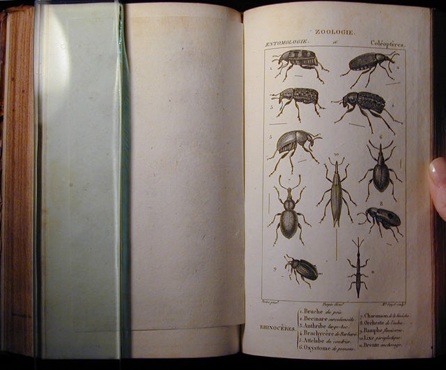 Item #3951 Considerations generales sur la classe des insectes. Andre-Marie-Constant DUMERIL.