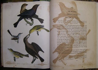 American ornithology; or, The natural history of the birds of the United States . . . . ; American ornithology; or, The natural history of birds inhabiting the United States, not given by Wilson