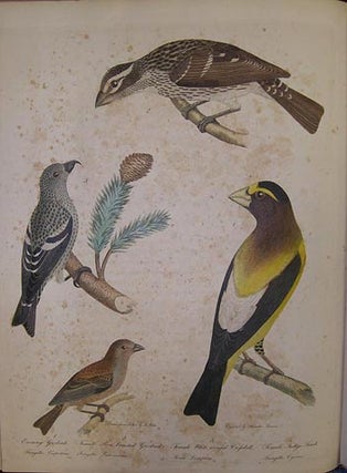 American ornithology; or, The natural history of the birds of the United States . . . . ; American ornithology; or, The natural history of birds inhabiting the United States, not given by Wilson